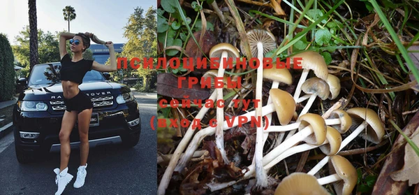 кристаллы Данков