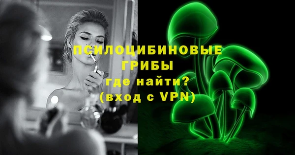 бошки Медвежьегорск