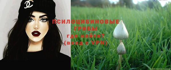 трава Медногорск