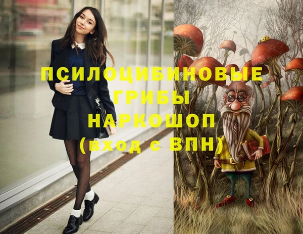 винт Мегион