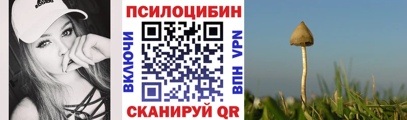 Купить закладки  Лаишево  Галлюциногенные грибы Psilocybe 